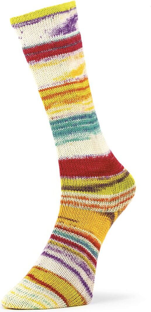 Laines Du Nord 6 ply Optical Socks 002