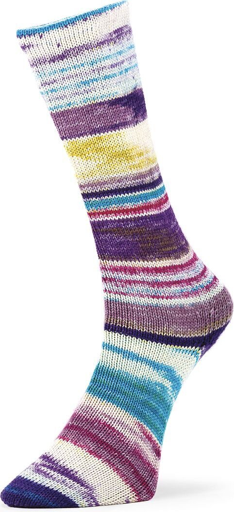 Laines Du Nord 6 ply Optical Socks 004