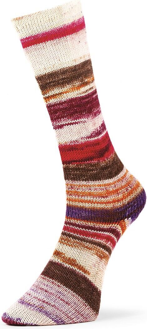 Laines Du Nord 6 ply Optical Socks 005