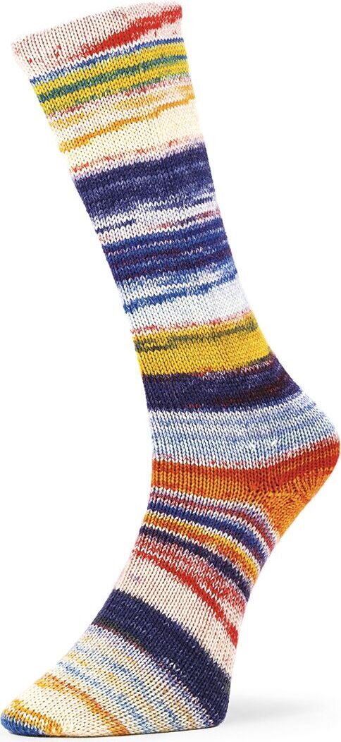 Laines Du Nord 6 ply Optical Socks 006