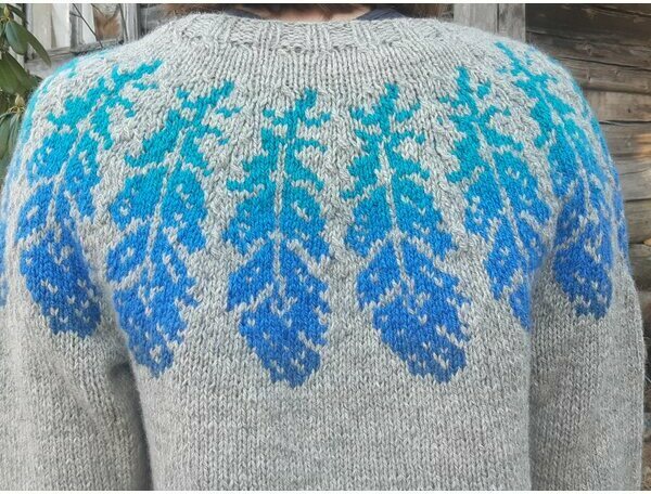 Kaarrokeneule Sinisulka M