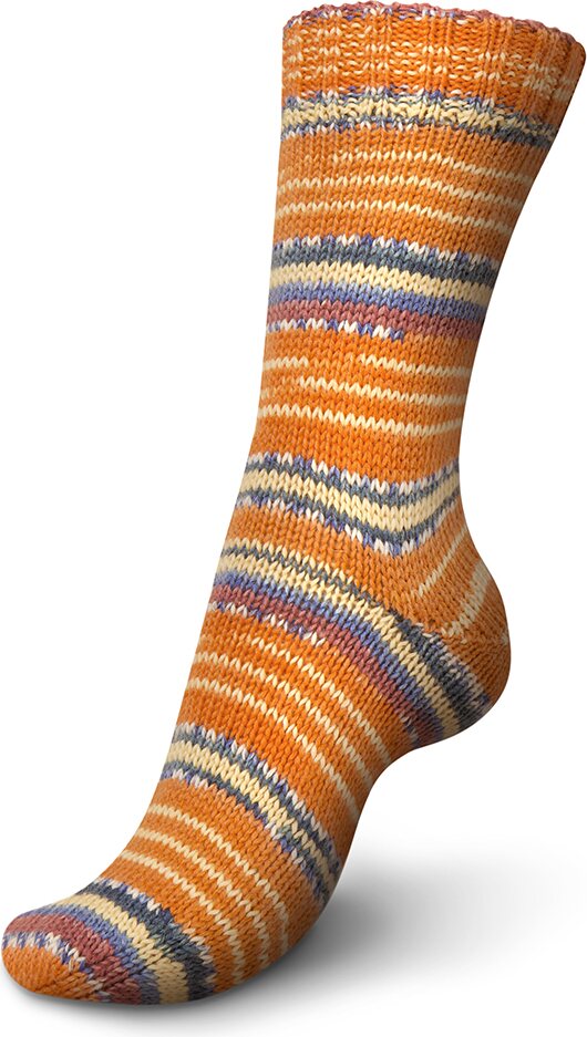 Regia Autumn Walk 6-ply 4902 pumpkin patch