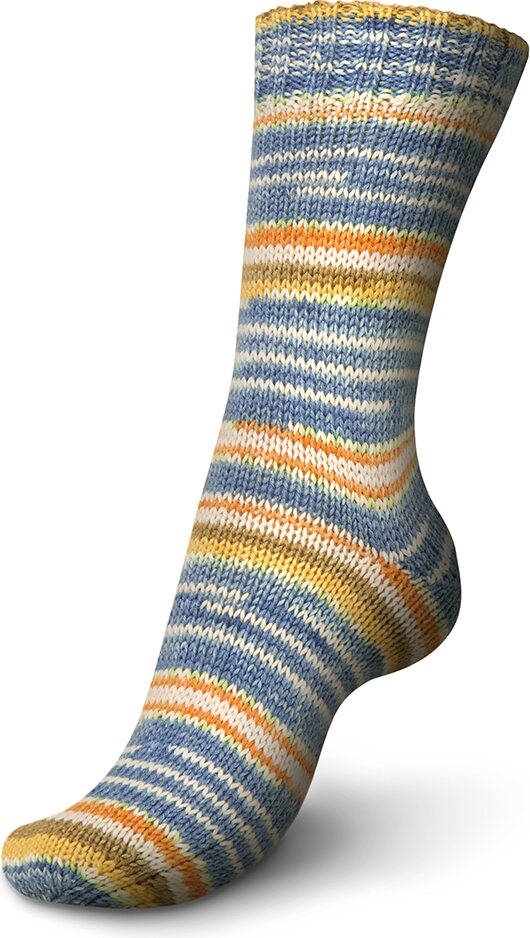 Regia Autumn Walk 6-ply 4904 panorama