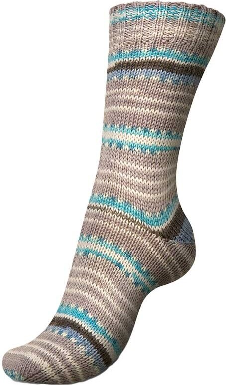 Regia Autumn Walk 6-ply 4900 misty morning