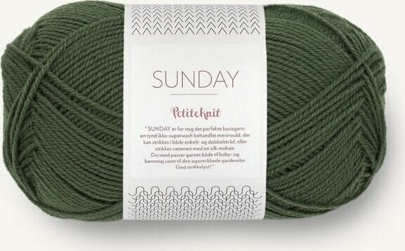 Sandnes Garn PetiteKnit Sunday 9581 Pine