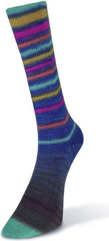 Laines Du Nord Infinity Sock 10