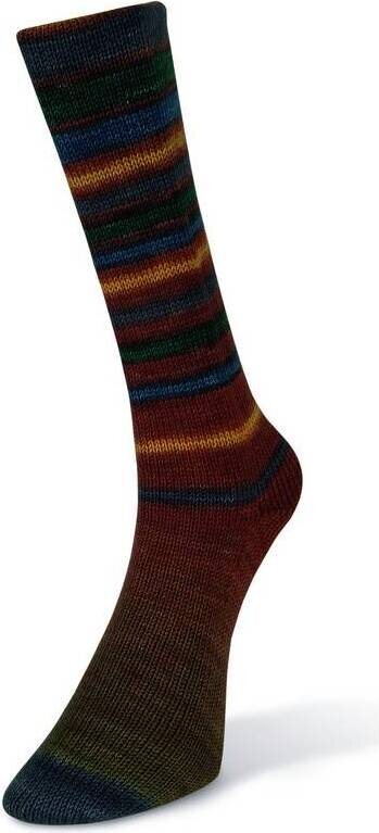 Laines Du Nord Infinity Sock 17