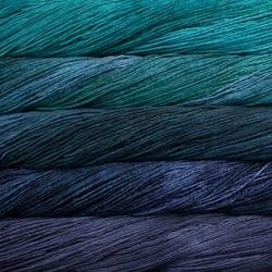 Malabrigo Worsted Merino 702 Paris Teal, 5 vyyhdin setti