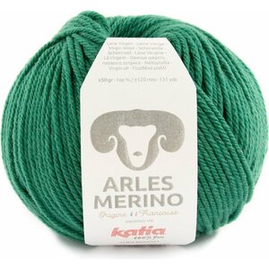 Katia Arles merino