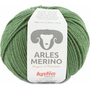 Katia Arles merino