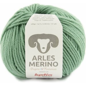 Katia Arles merino