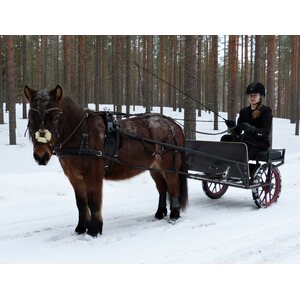 Syli, PDF-ohje suomi + english