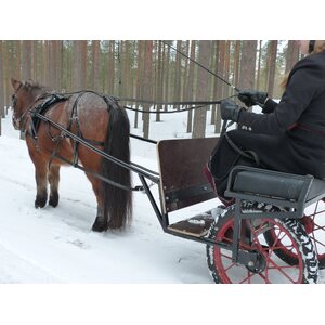 Syli, PDF-ohje suomi + english