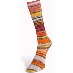 Laines Du Nord Eclectic Sock